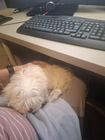 21-10-25 samen met mama werken, nou ja knuffelen